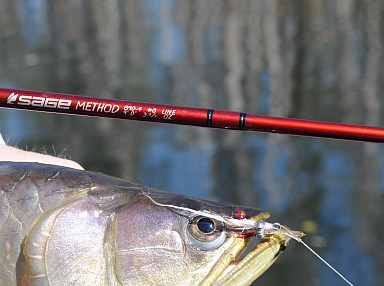 Fisho's Scott Thomas filming Bushy talking about Squidgy's new prawn lures.